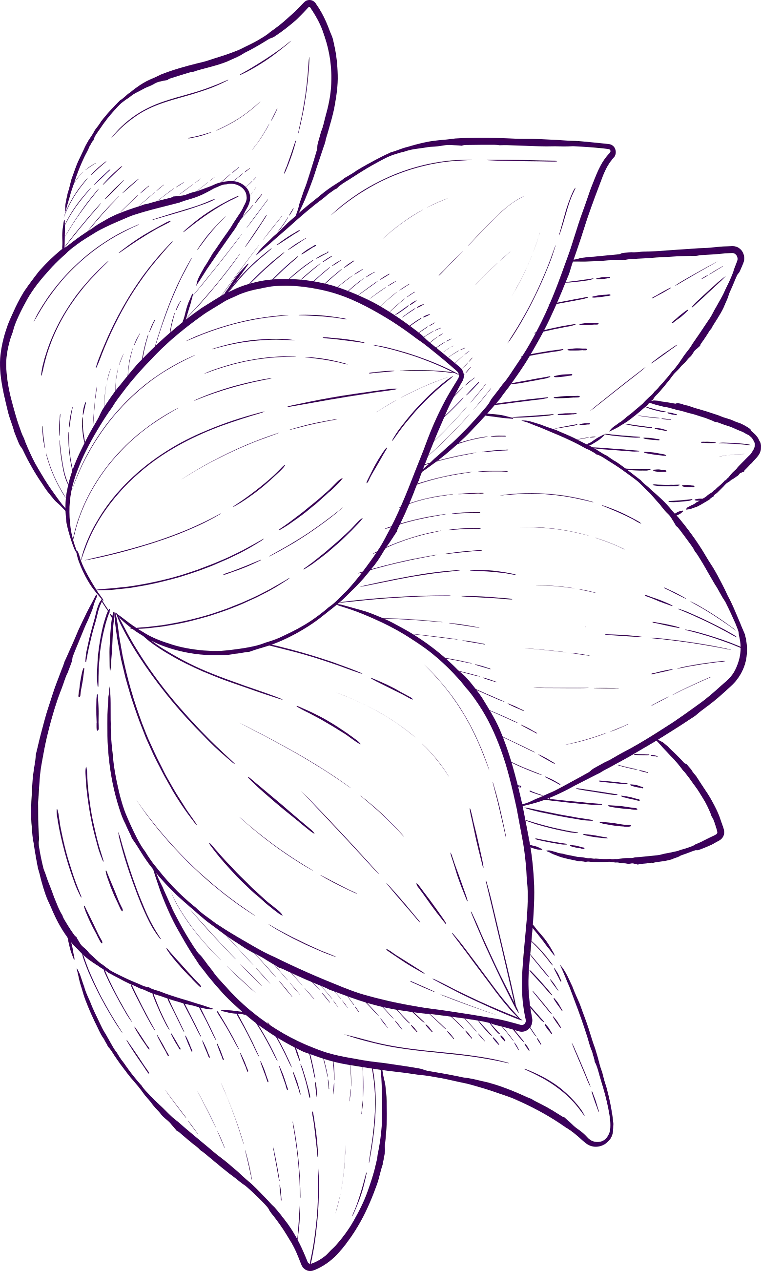 background-flower-one